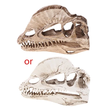 Череп динозавра дилофозавра, поделки из смолы, обучающая модель ископаемого скелета, украшение для дома и офиса на Хэллоуин